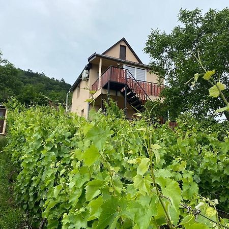 Feher Szolo Vendeghaz Sátoraljaújhely Екстериор снимка